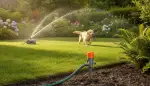 Der perfekte Sprühregner für jeden Garten