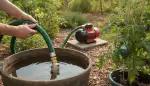Der richtige Saugschlauch für Ihre Gartenpumpe