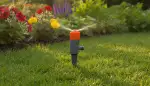 Effiziente Gartenbewässerung: Sprühregner richtig einsetzen