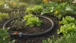 Perlschläuche: Smarte Bewässerung mit System