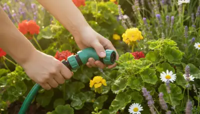 Clevere Stecksysteme für den Gartenschlauch